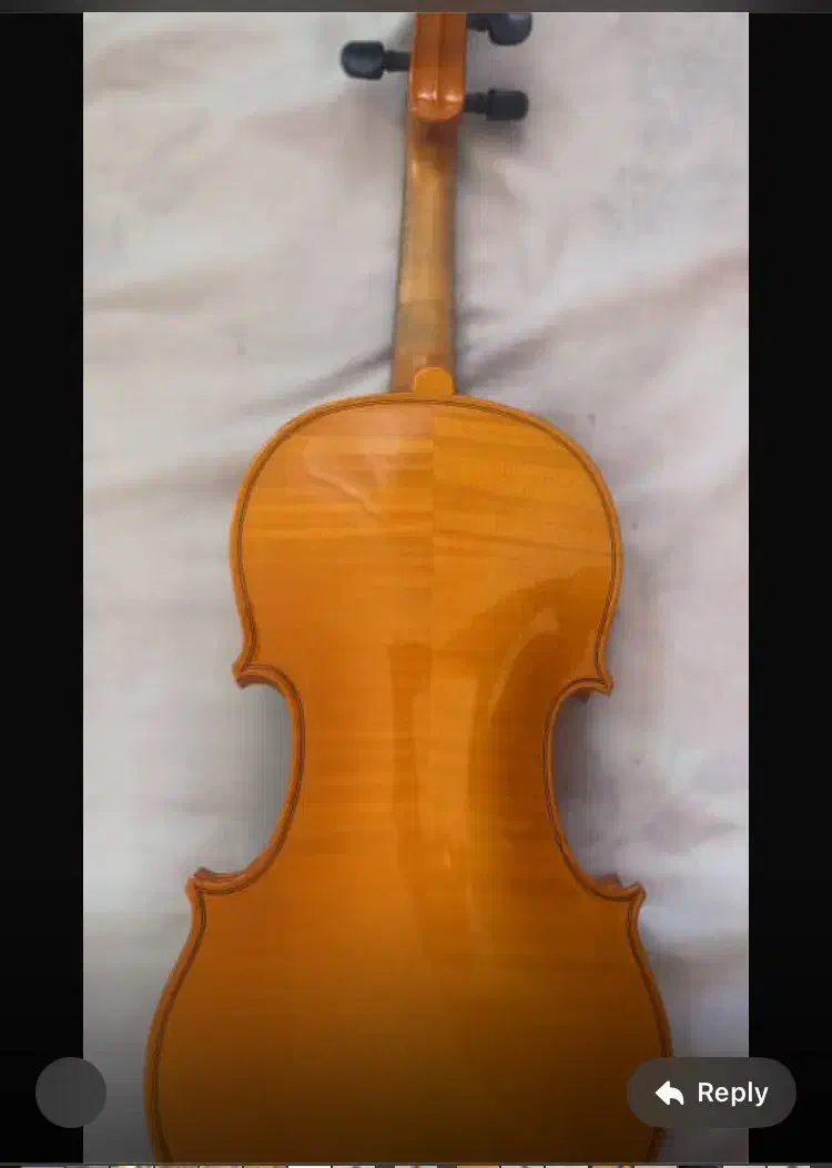 ویولون رودریچ پزولد آلمان (حرفه ای)|ویولن|تهران, صادقیه|دیوار