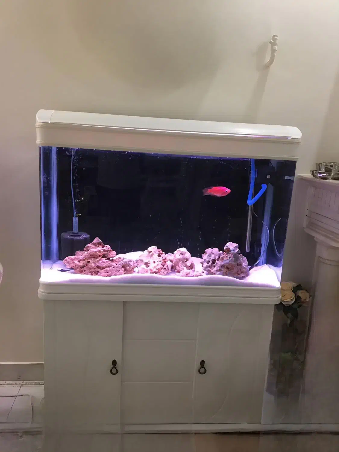 آکواریوم دلسا مدل k1000|ماهی|تهران, ابوذر|دیوار