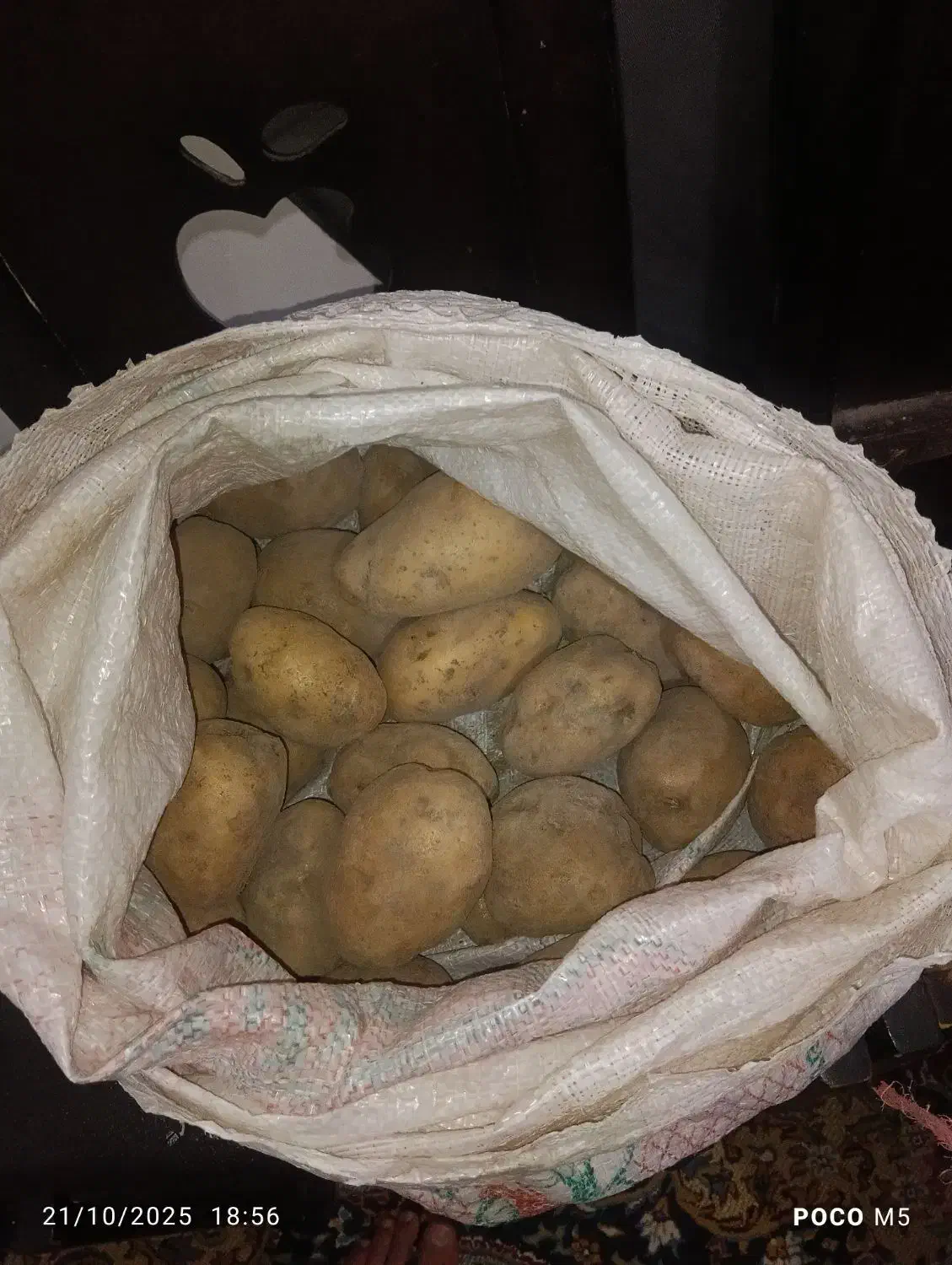 سیب|خوردنی و آشامیدنی|فریمان, |دیوار