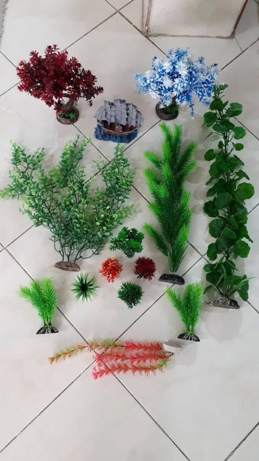 گران نخرید لوازم ارزان‌ آکواریم|ماهی|ری, شهید بهشتی|دیوار