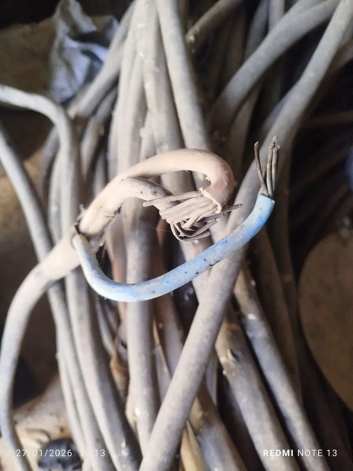 کابل3در25تمام مس|ابزارآلات|شیراز, داریون|دیوار