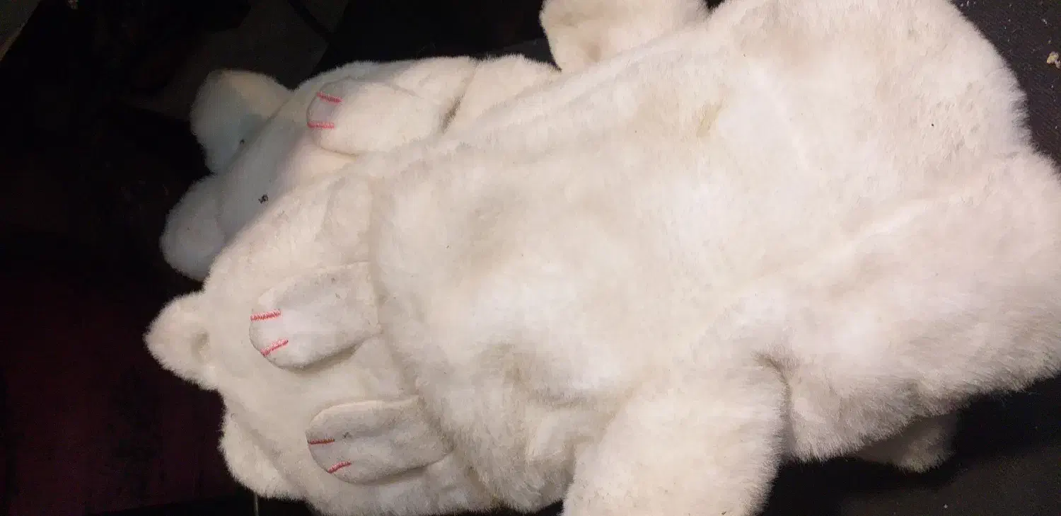 دسنکش دخترانه|لباس|تبریز, |دیوار