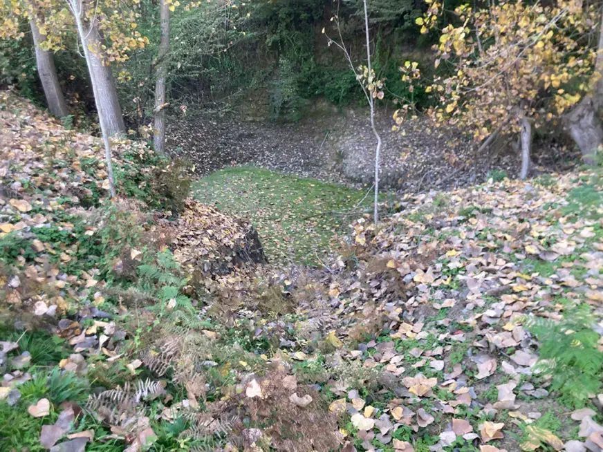 اجاره زمین ۲هکتاری در روستا شکتا ساری سرمایه گذاری|اجارهٔ دفتر صنعتی، کشاورزی، تجاری|ساری, |دیوار