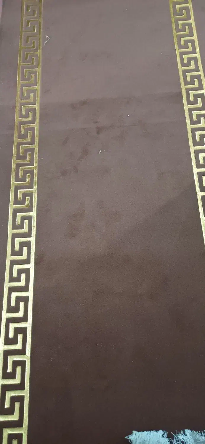 موکت|موکت|شیراز, فرگاز|دیوار
