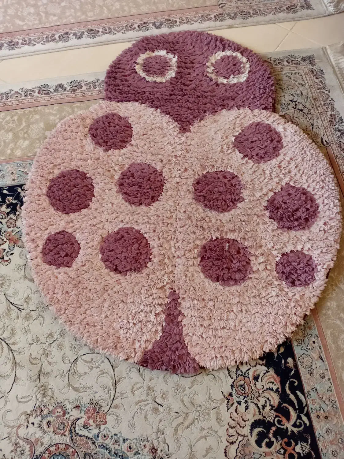 پادری کفشدوزک|پادری|شیراز, ارم|دیوار