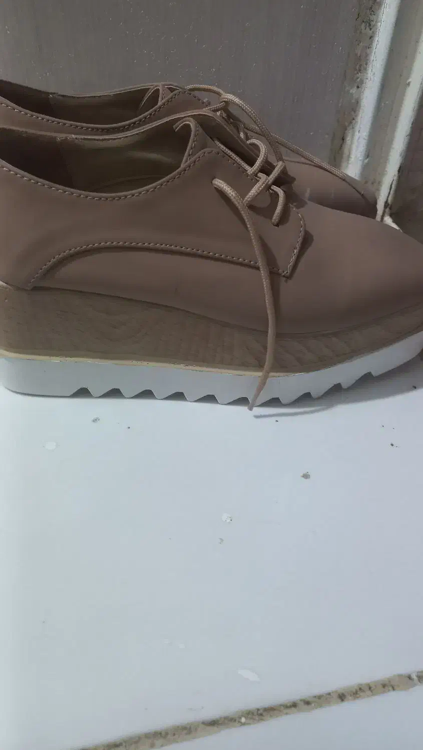 کفش لژدار|کیف، کفش، کمربند|دهلران, |دیوار