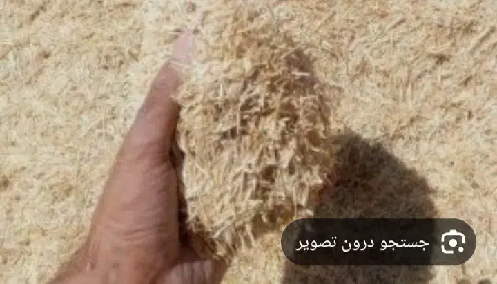 کاه گندم نرم|حیوانات مزرعه|داران, |دیوار