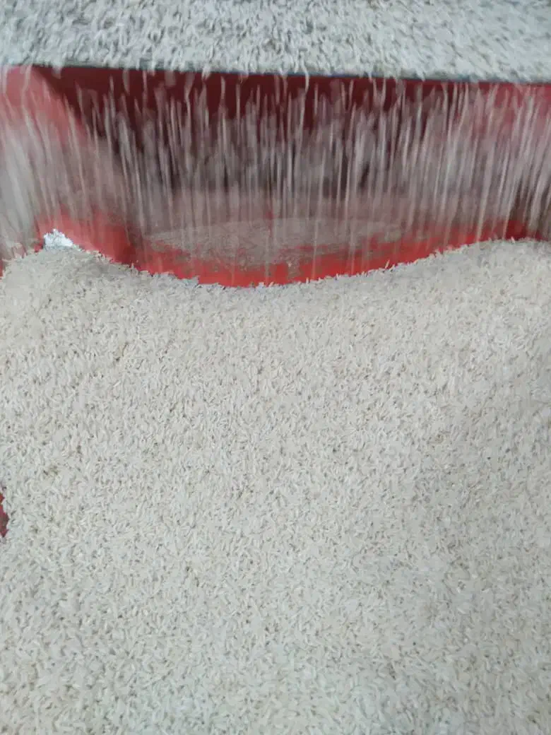 برنج علی کاظمی درجه ۱ازاب چشمه|خوردنی و آشامیدنی|احمدسرگوراب, |دیوار