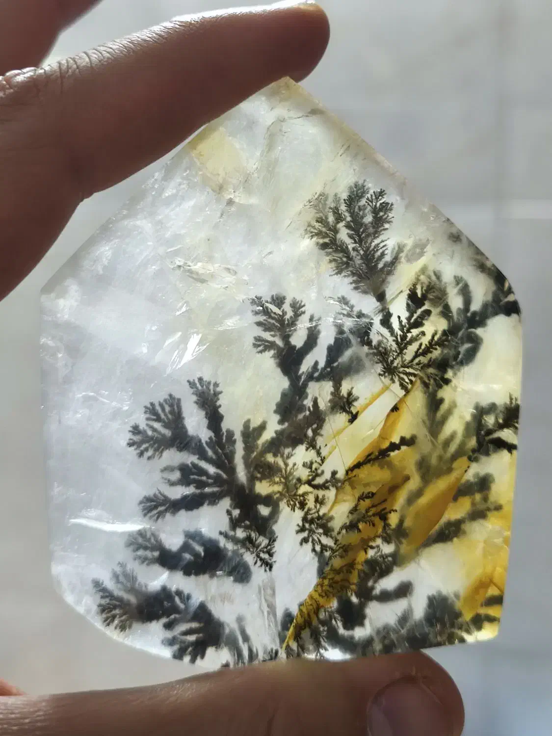 کوارتز شجر قواره برزیلی کلکسیونی|جواهرات|قم, ارم|دیوار