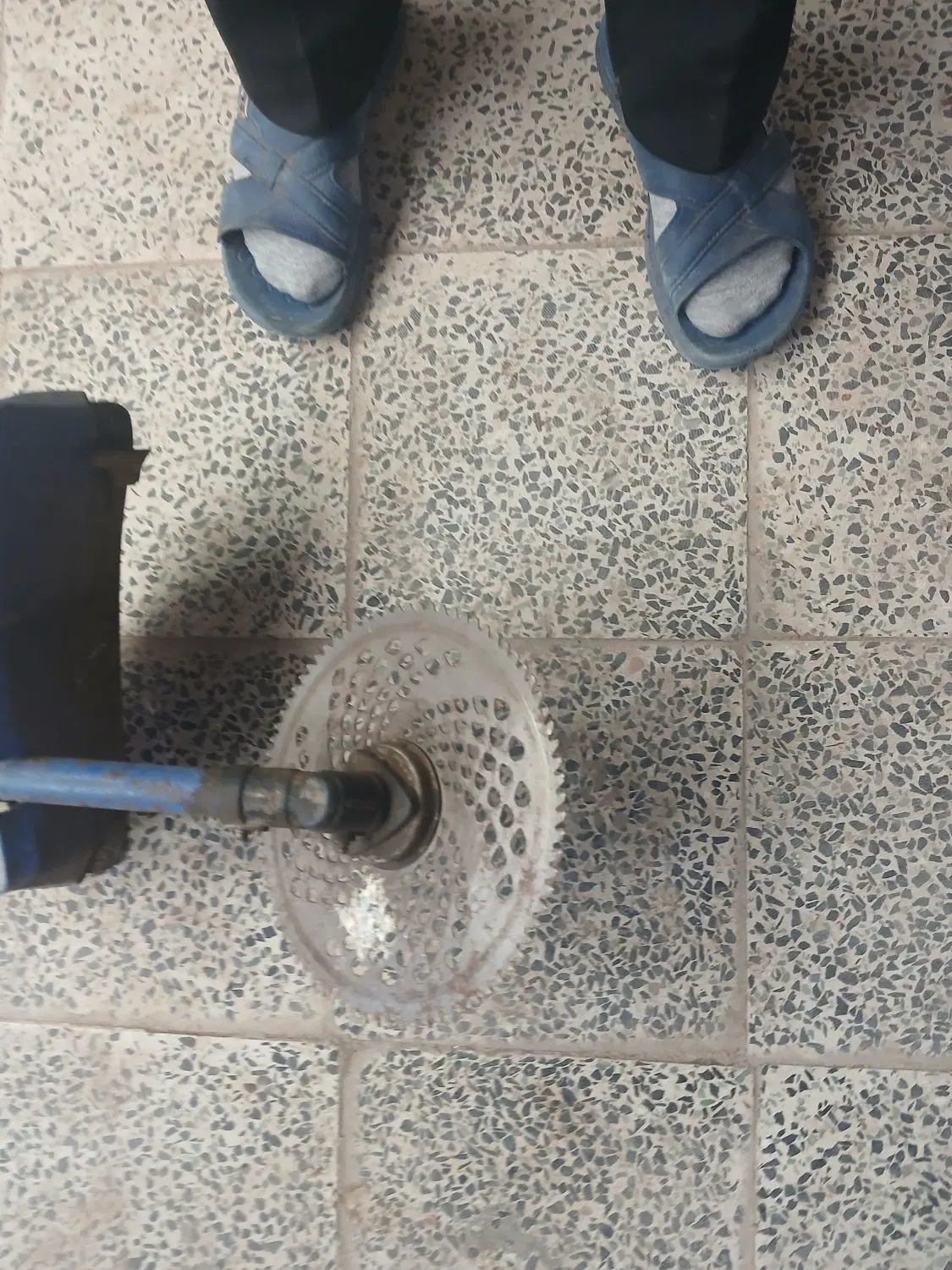 علف زن|خدمات نظافت|خلخال, |دیوار
