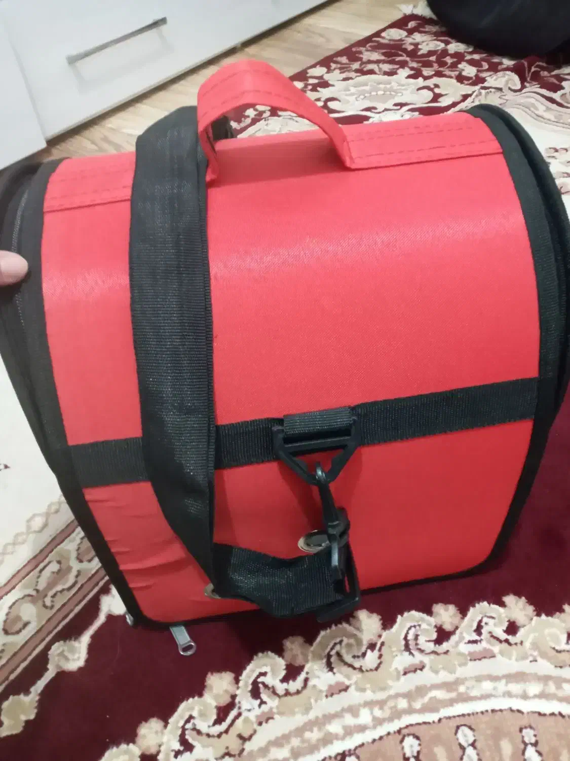 کیف مخصوص حمل پرنده|لوازم جانبی حیوانات|فومن, |دیوار