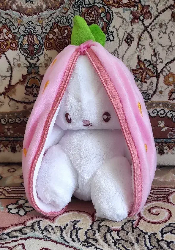 عروسک|اسباب‌‌بازی|کرمانشاه, |دیوار