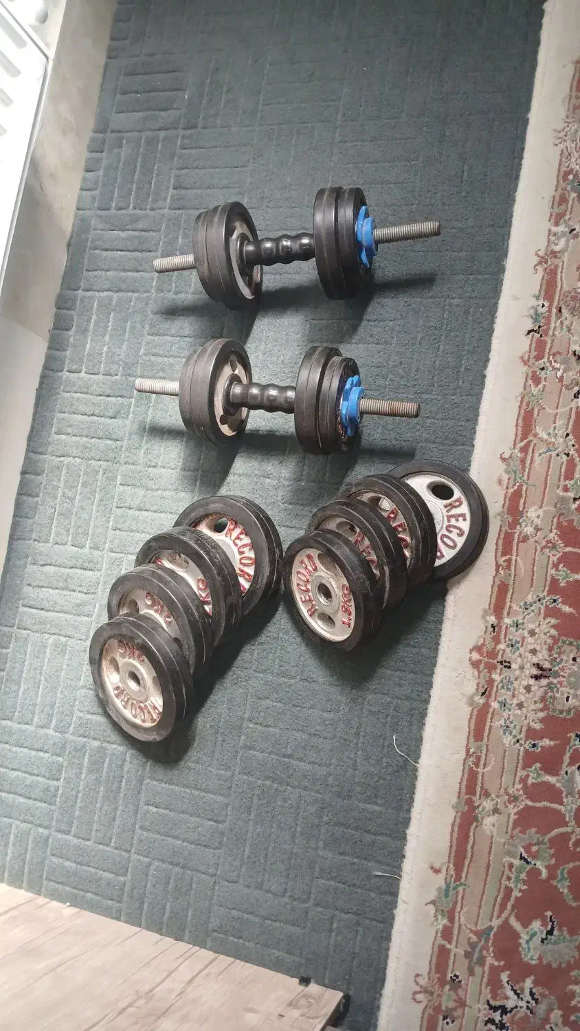 دمبل ۱۸ کیلویی|تجهیزات ورزشی|ری, شهید بهشتی|دیوار