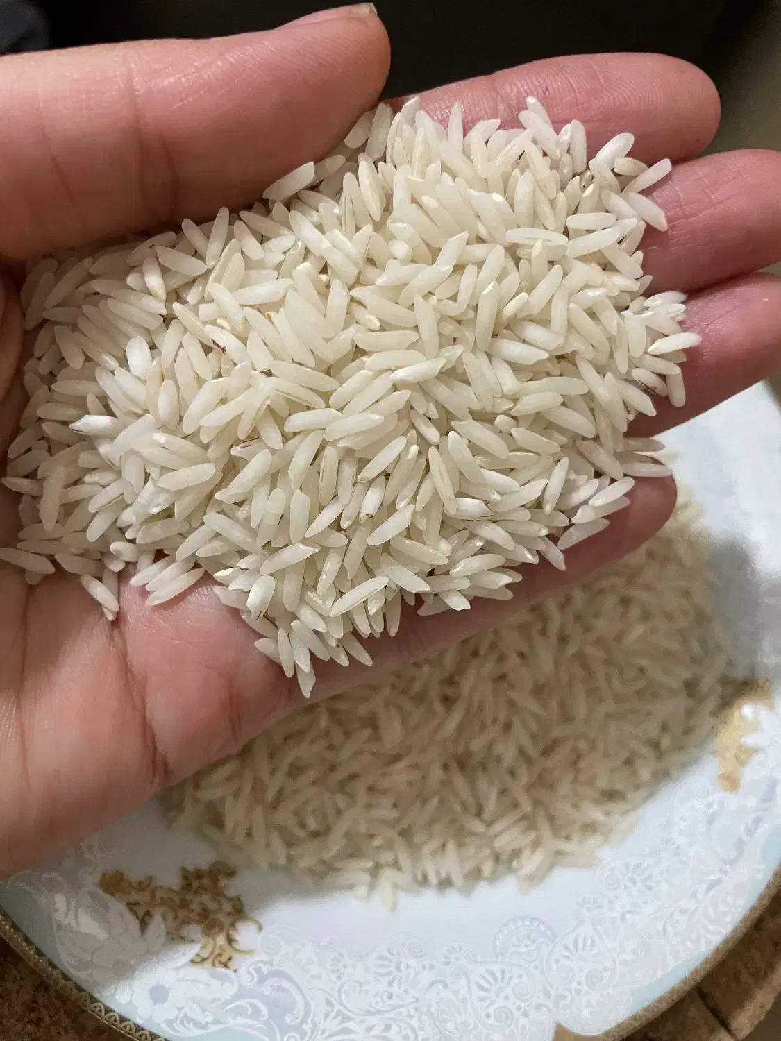 برنج طارم فریدونکنار|خوردنی و آشامیدنی|بجنورد, |دیوار