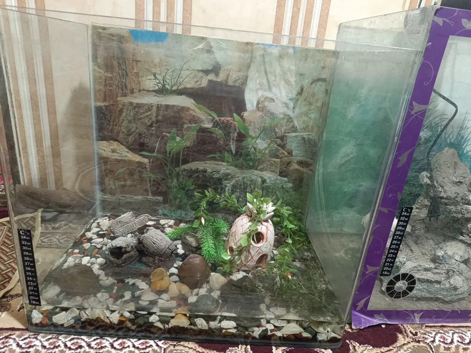 آکواریوم و لوازم جانبی برای نگهداری ماهی زینتی|ماهی|اردبیل, |دیوار