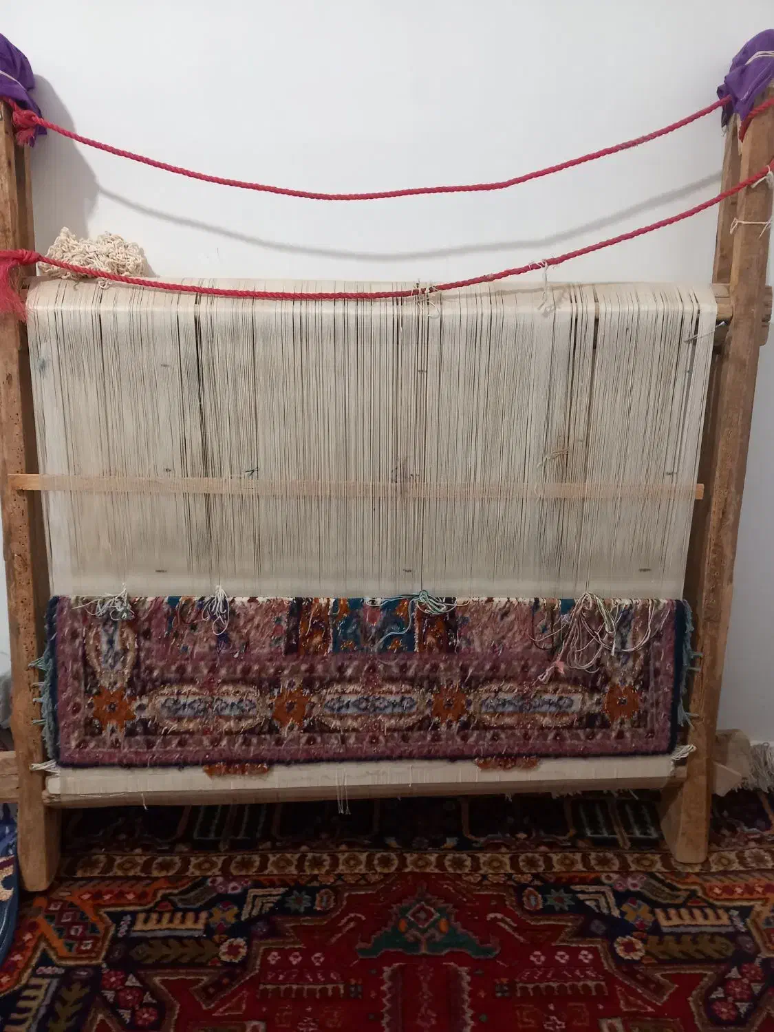 فرش زرنیم گنبد|فرش|صوفیان, |دیوار