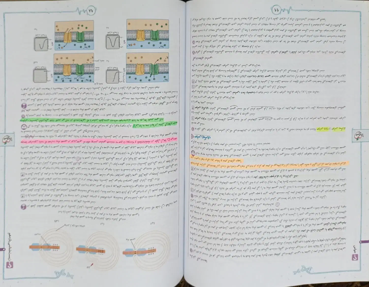 کتاب زیست خیلی سبز|کتاب و مجله آموزشی|محمدیه-قزوین, |دیوار