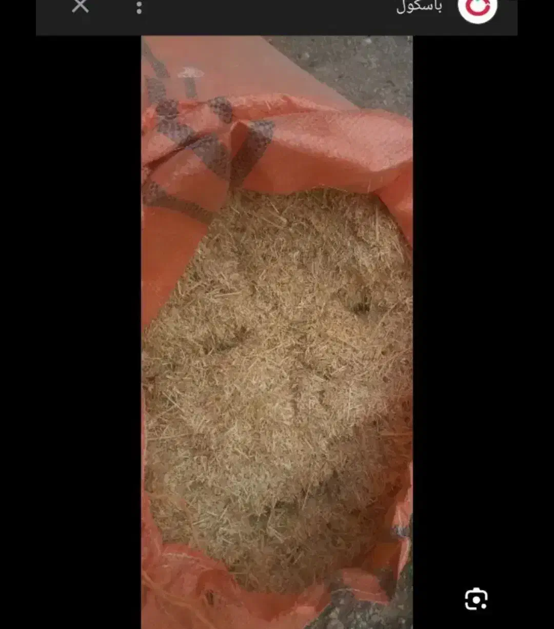 فروش فری یک تن کاهش سفید درجه یک|لوازم جانبی حیوانات|پیر بکران, |دیوار