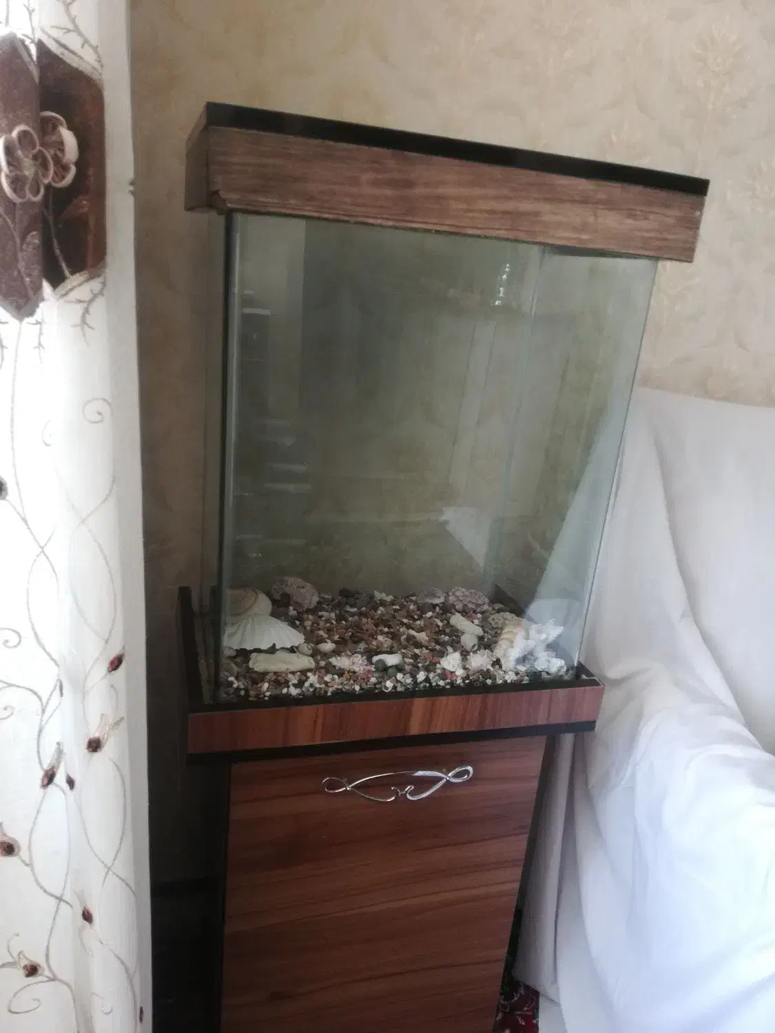 ماهی|ماهی|بروجرد, |دیوار