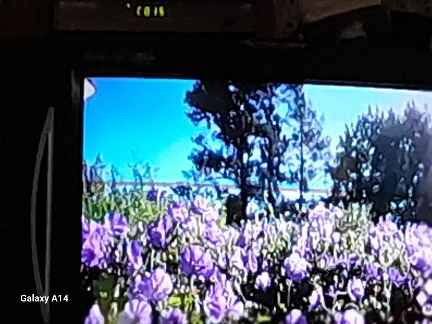 تلویزیون ۲عدد|تلویزیون و پروژکتور|بابل, |دیوار