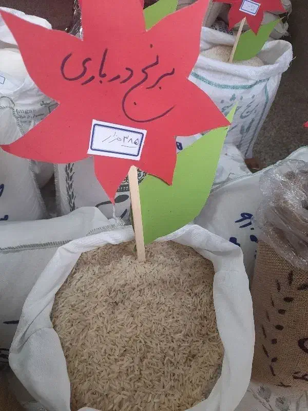 برنج|خوردنی و آشامیدنی|تبریز, |دیوار