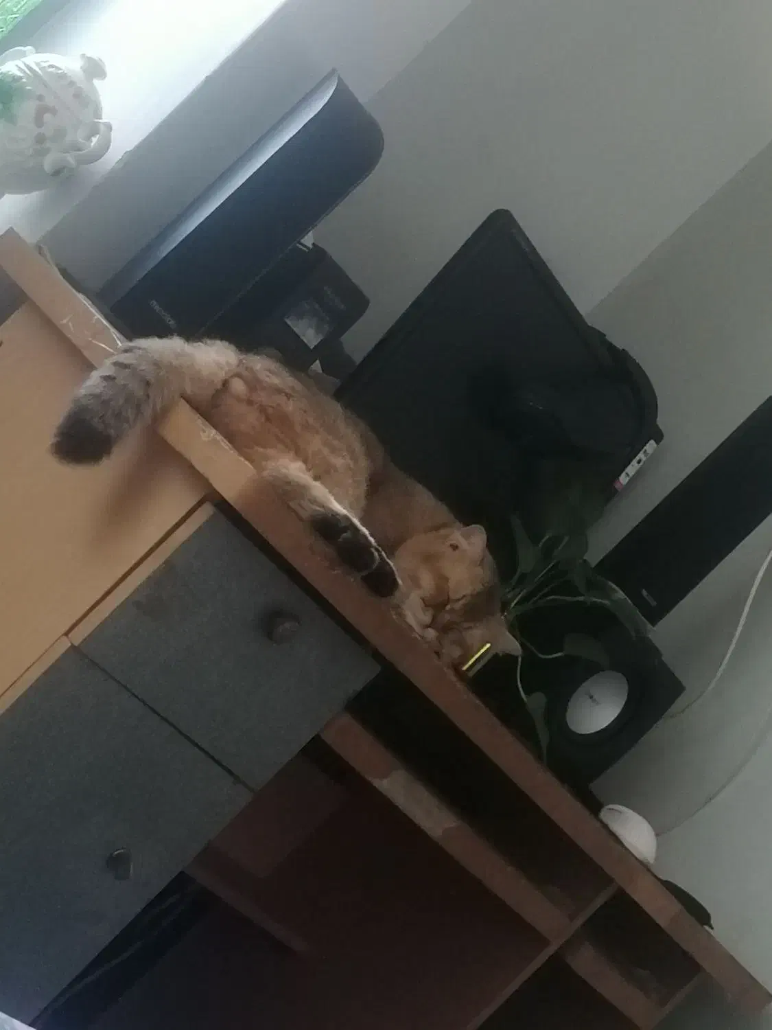 سیستم کامل مناسب  رندرینگ|رایانه رومیزی|کرمان, |دیوار