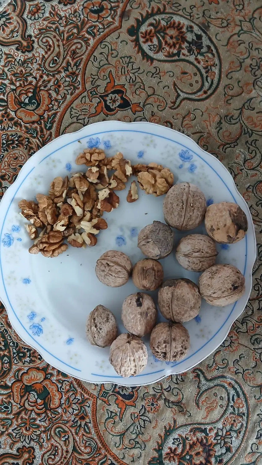 گردو|خوردنی و آشامیدنی|چناران, |دیوار