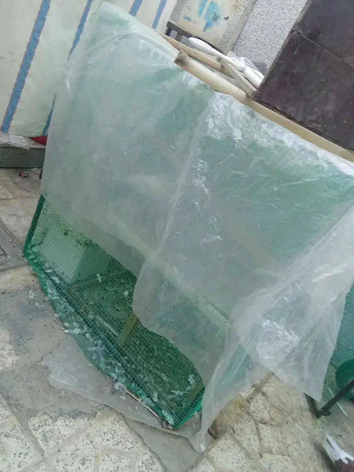 قفس کفتر|لوازم جانبی حیوانات|برخوار, |دیوار