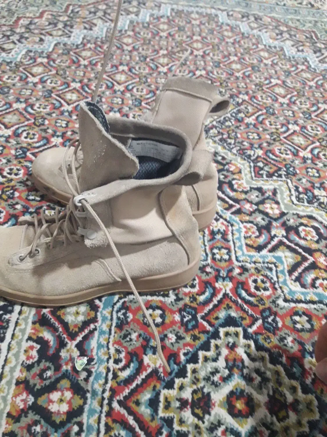 پوتین آمریکای|کوهنوردی و کمپینگ|خسروشاه, |دیوار