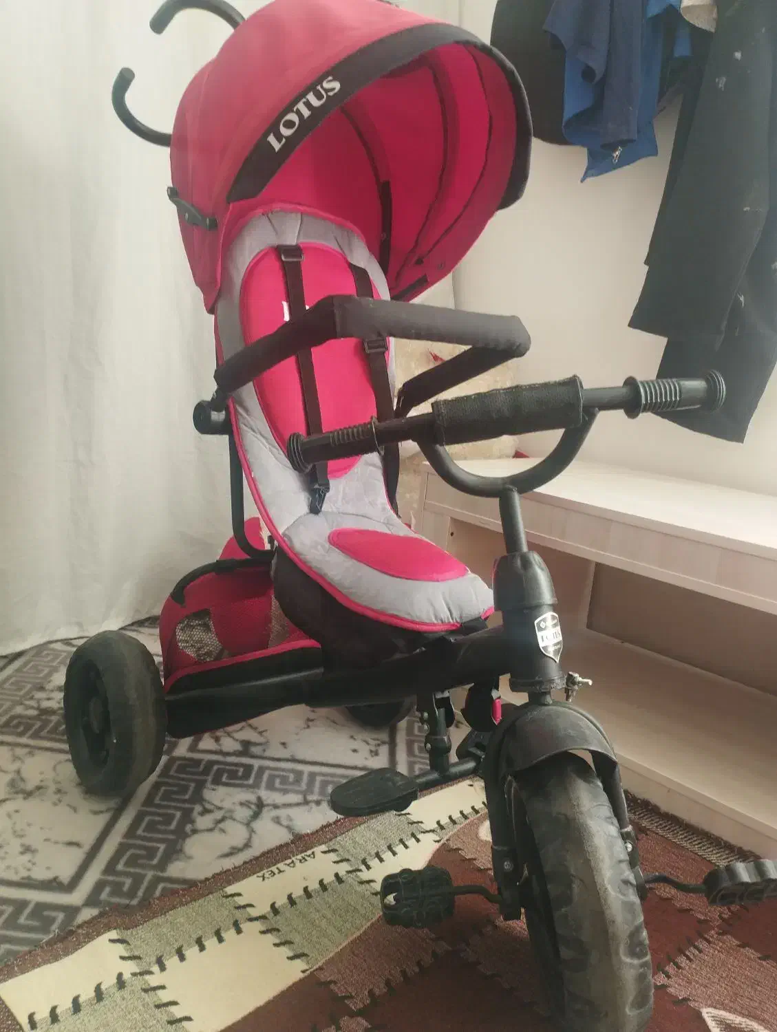 سه چرخه|کالسکه و لوازم جانبی|سنندج, |دیوار