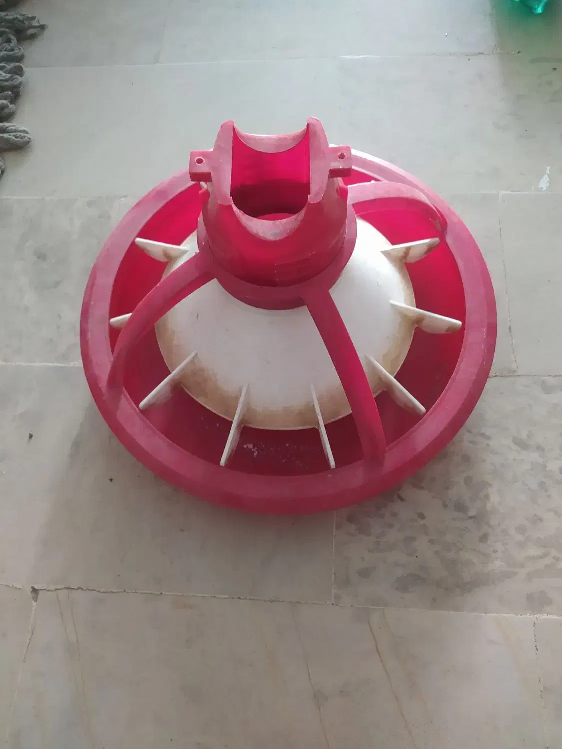 دانخوری بشقابی|لوازم جانبی حیوانات|هرسین, |دیوار