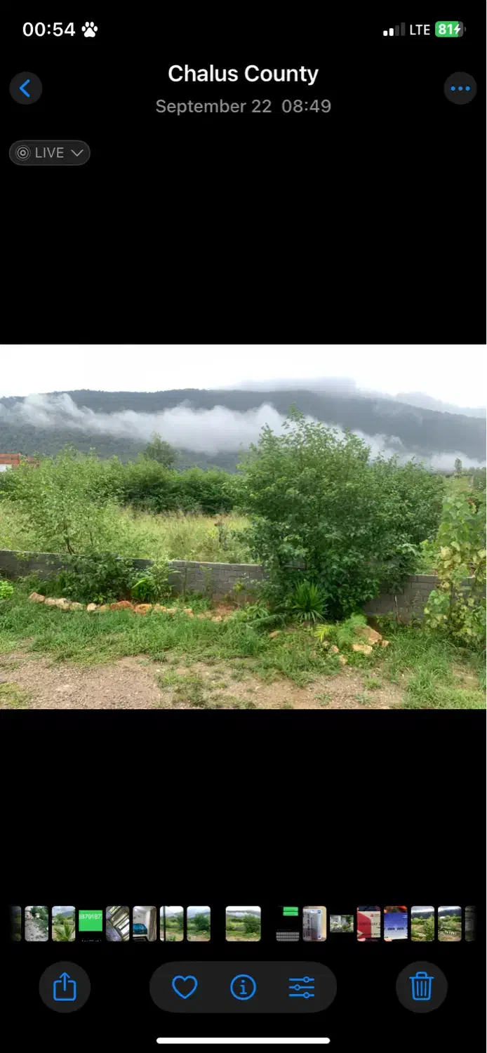 رهن ،اجاره زمین ۷۰۰تا۱۰۰۰ متر هچیرود|اجارهٔ دفتر صنعتی، کشاورزی، تجاری|چالوس, |دیوار