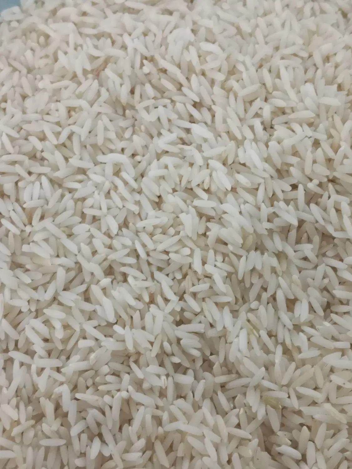 برنج|خوردنی و آشامیدنی|میانه, |دیوار