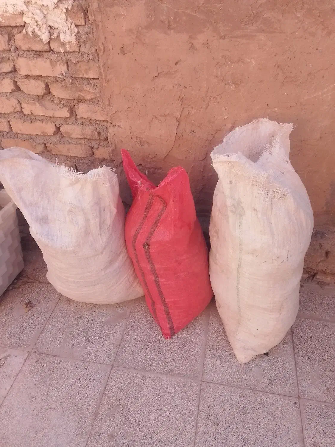 کود کفتر|گل و گیاه طبیعی|قوچان, |دیوار