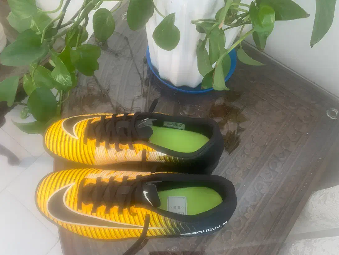 کفش نایک (MERCURIAL ) فوتسال واردتی از آلمان|کیف، کفش، کمربند|تهران, ایوانک|دیوار
