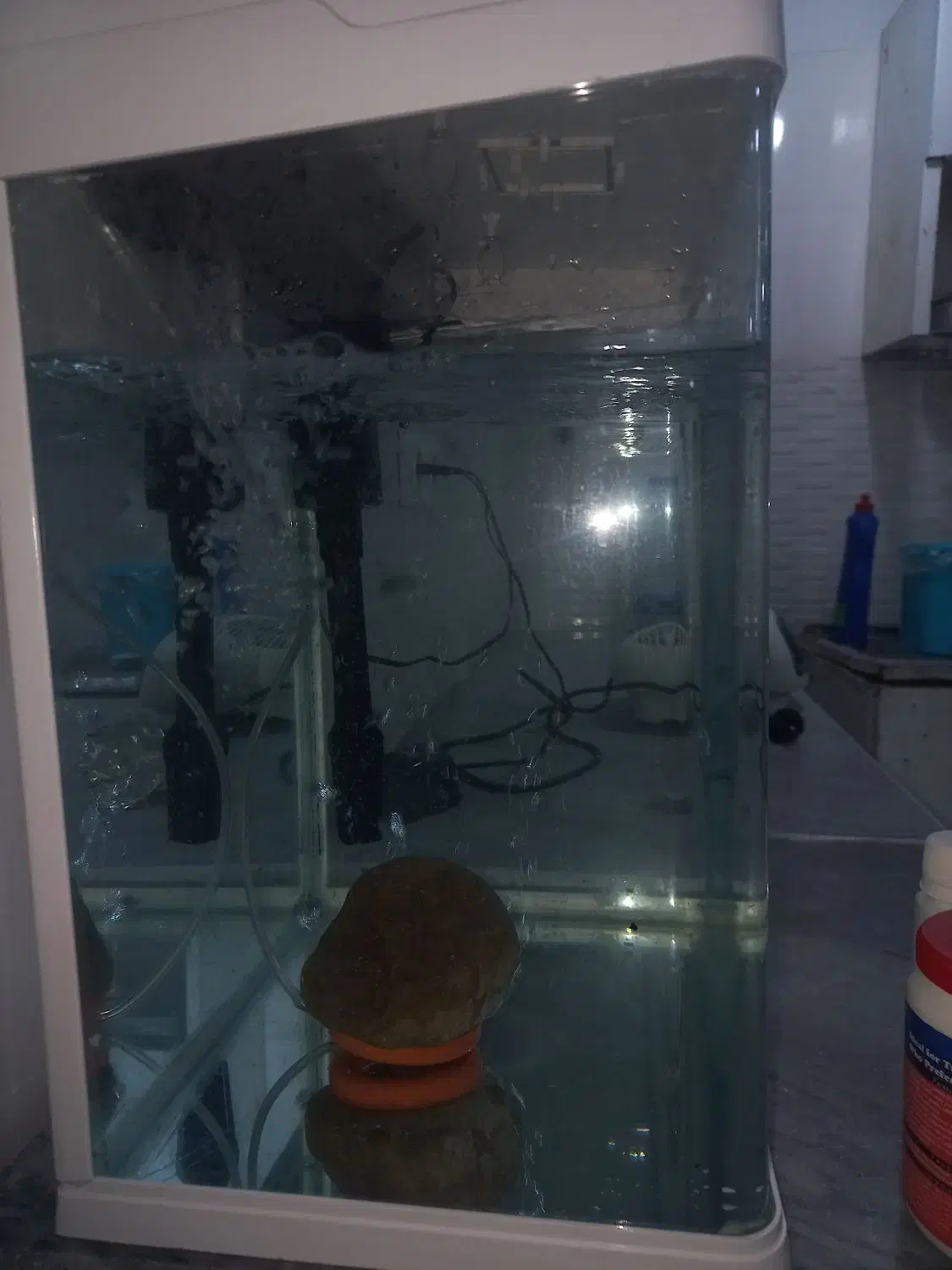 آکواریوم تقریبا ۶۰ در ۷۰ با لوازم نو|ماهی|ماهدشت, |دیوار