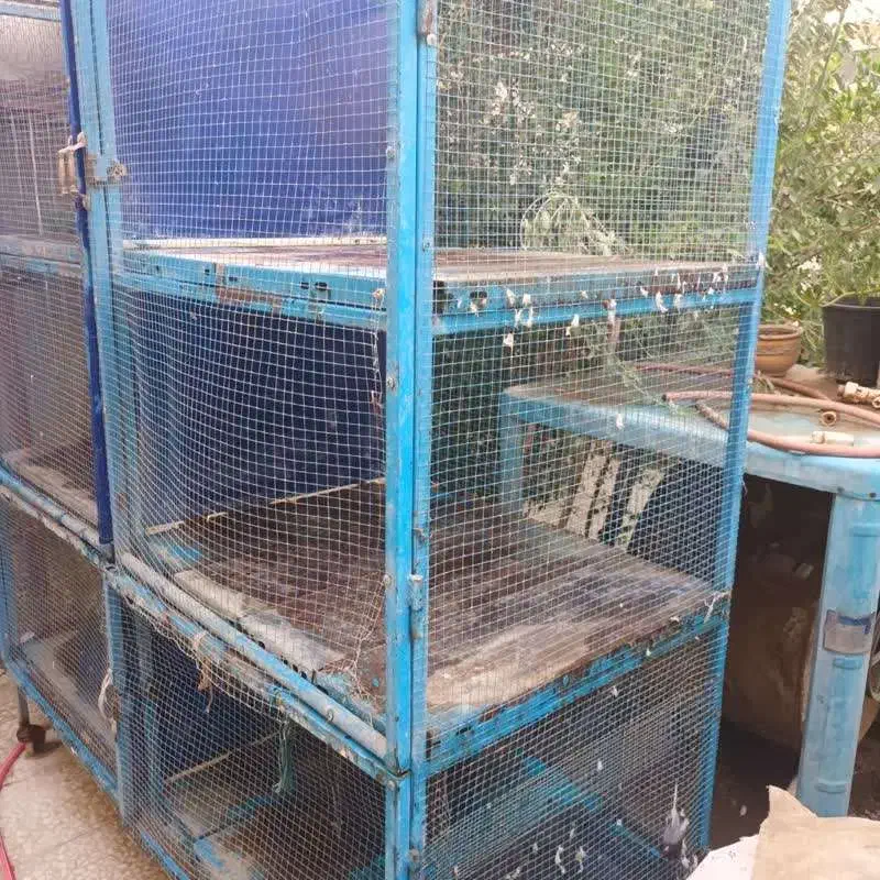 قفس بزرگ اهنی ۶ جا ۴ درب|لوازم جانبی حیوانات|قم, باجک یک|دیوار