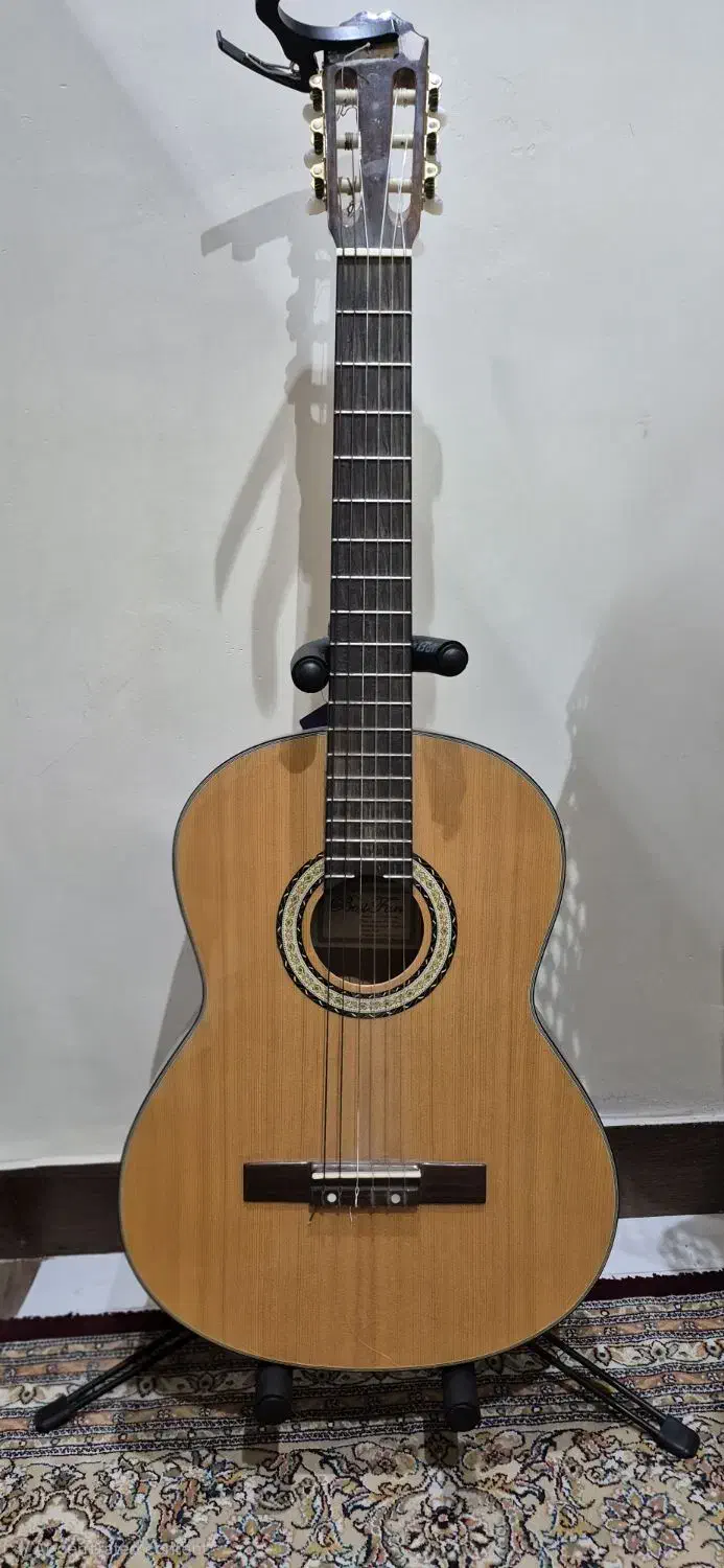 گیتار بست فان|گیتار، بیس، امپلیفایر|ری, شهید غیوری (ابن باویه)|دیوار