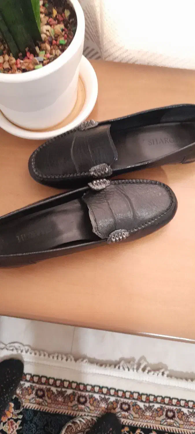 کفش،کالج زنانه|کیف، کفش، کمربند|پرند, فاز ۶|دیوار