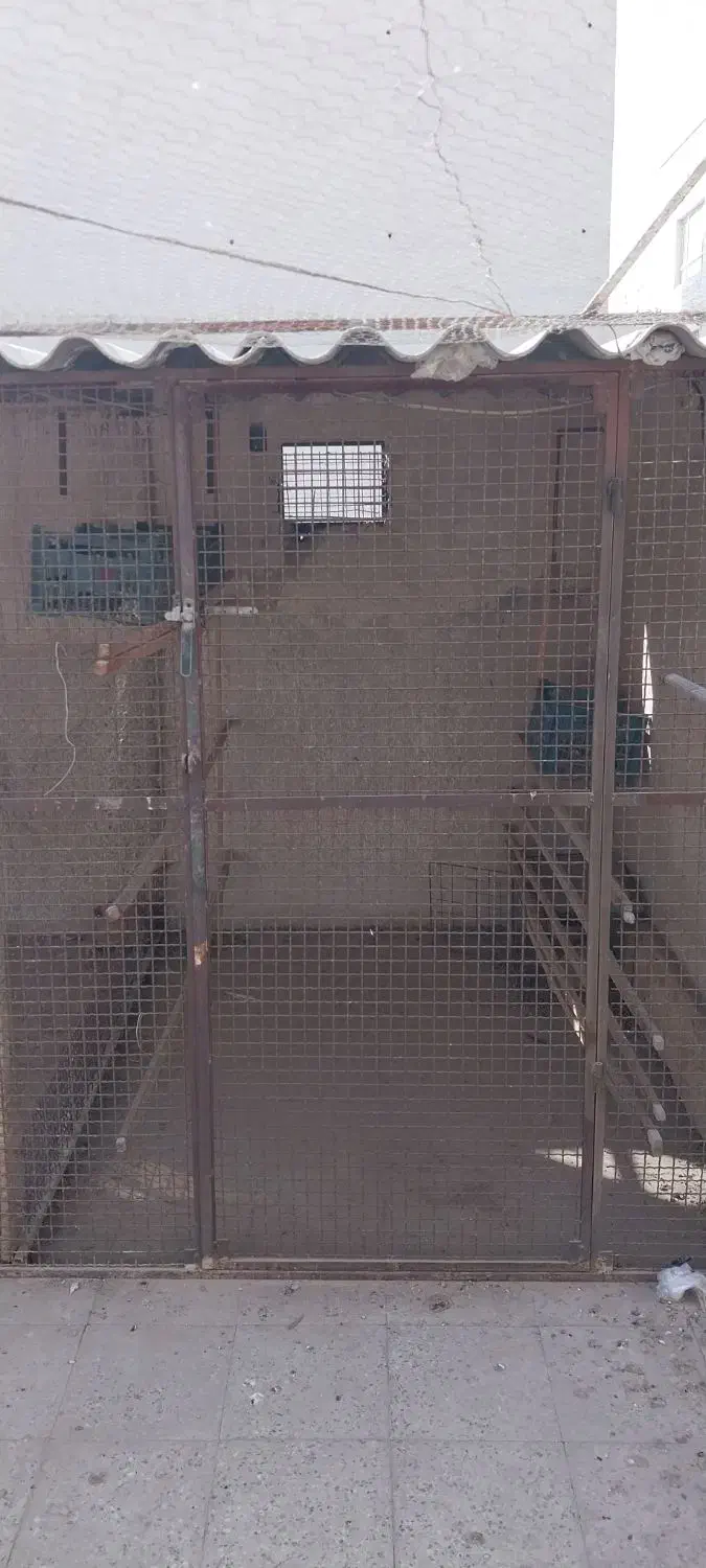 گنجه کبوتر|لوازم جانبی حیوانات|ری, حمزه‌آباد|دیوار