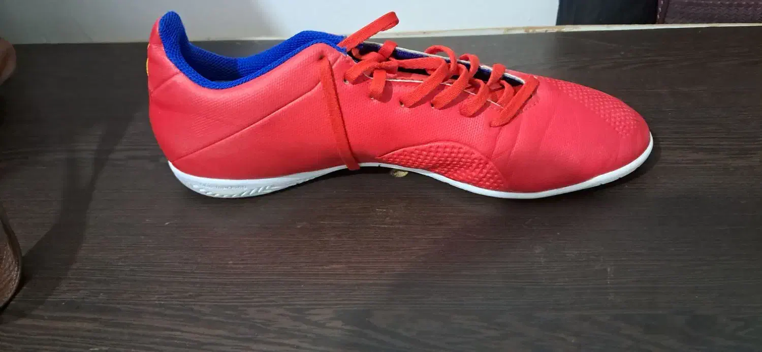 کفش سالنی اورجینال|تجهیزات ورزشی|تربت جام, میان جام|دیوار