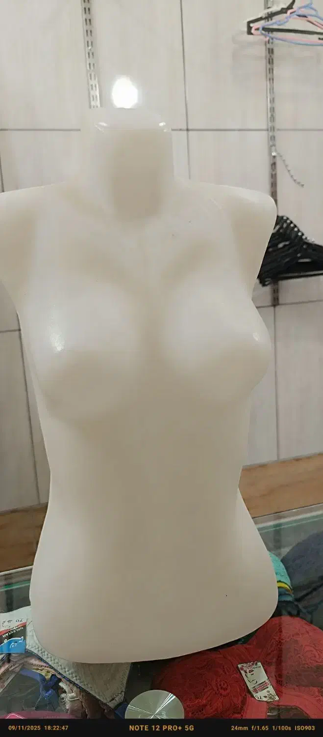 مانکن پا و نیم تنه و رگال|فروشگاه و مغازه|بهارستان, |دیوار