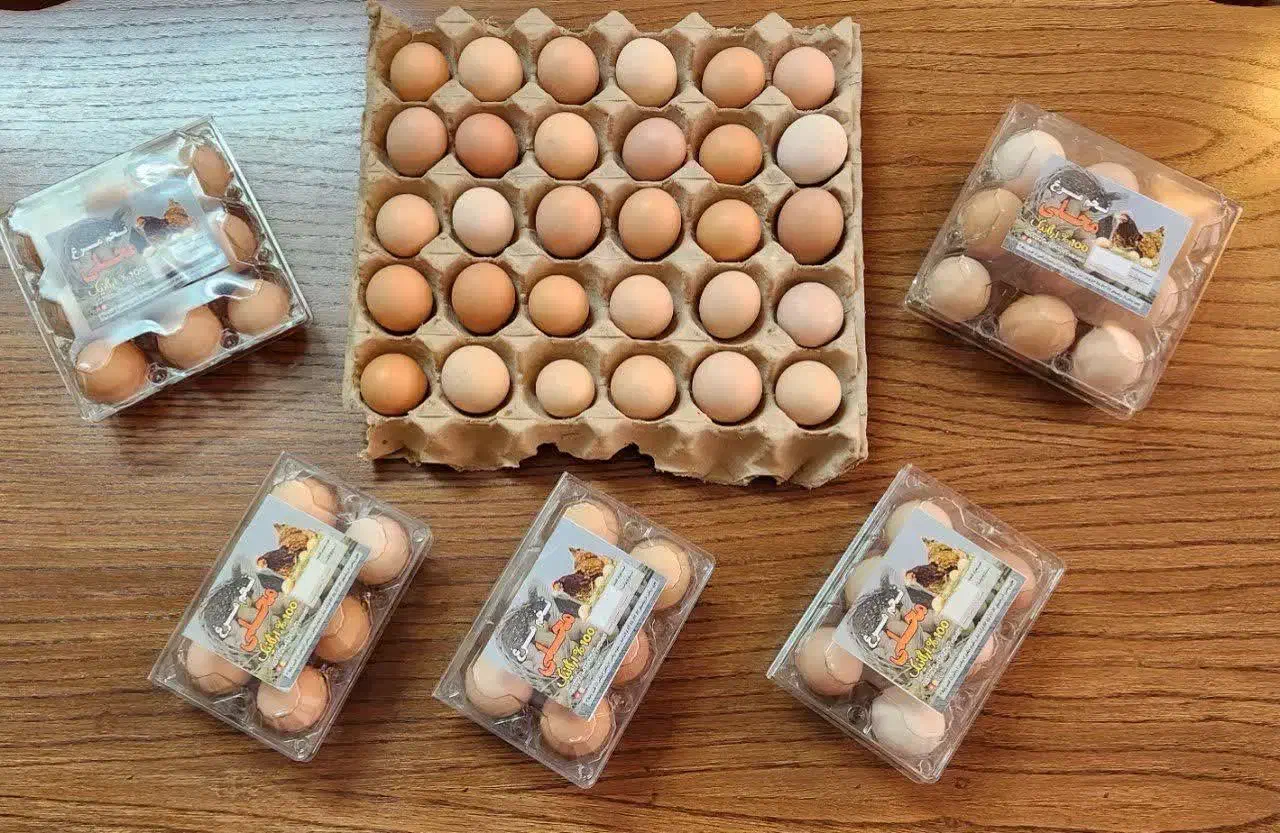 تخم مرغ محلی تازه|خوردنی و آشامیدنی|نیشابور, هفده شهریور|دیوار