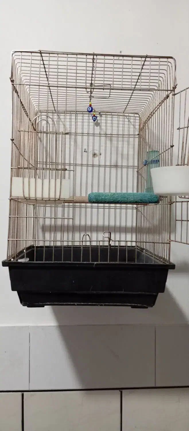 قفس|لوازم جانبی حیوانات|ازنا, |دیوار