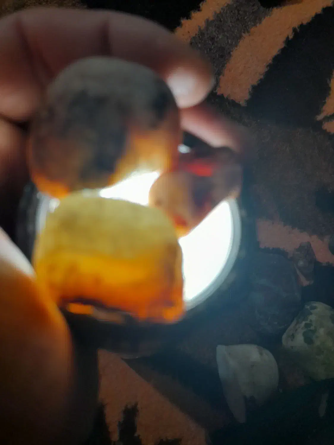 سلام تعدای سنگ زیبا|کلکسیون و سرگرمی|بندر انزلی, پاسداران|دیوار