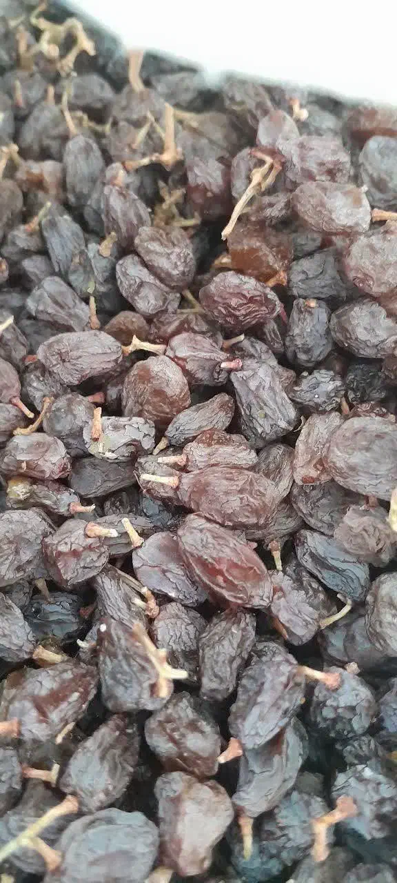 کشمش آفتابی درشت بوانات|خوردنی و آشامیدنی|بوانات, |دیوار