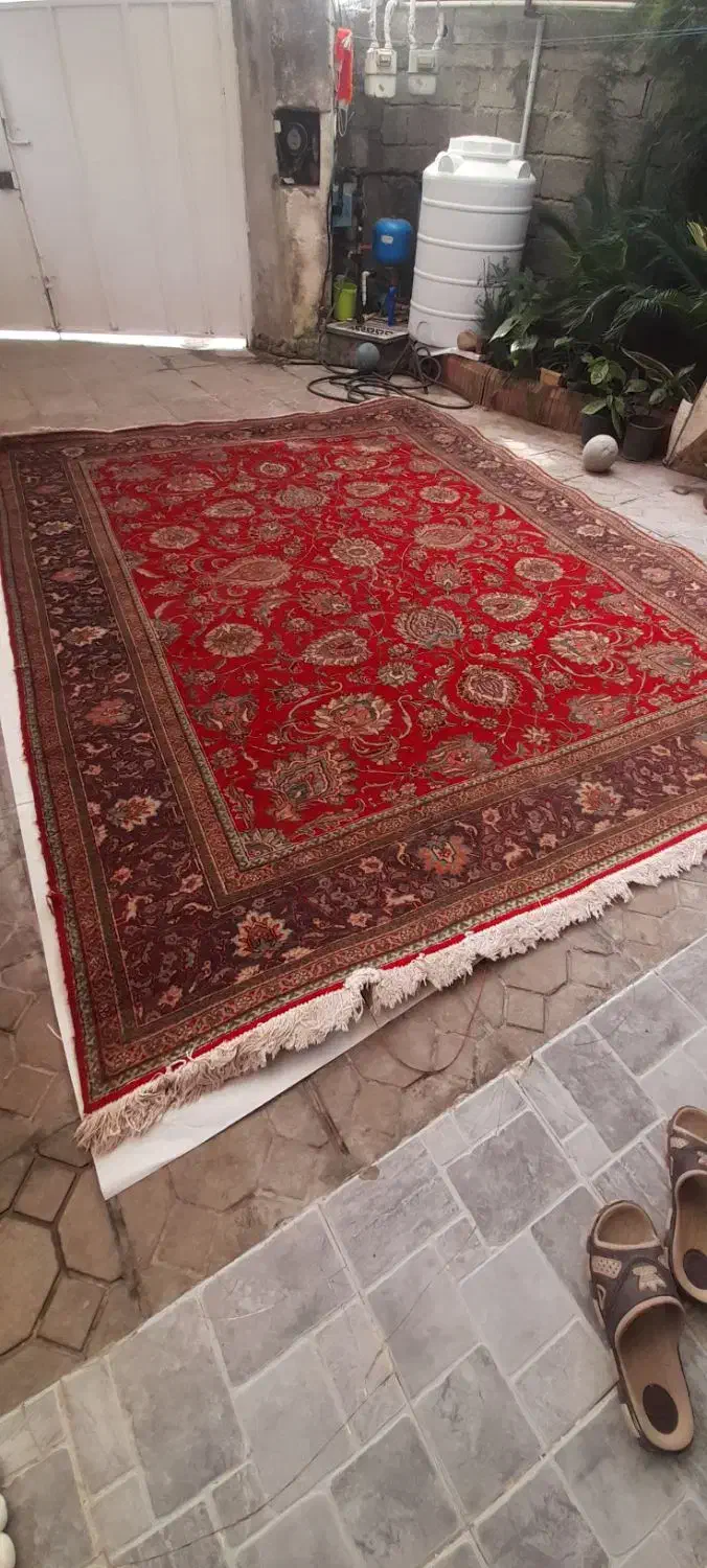 فرش دست بافت ۱۲ متری|فرش|رامسر, |دیوار