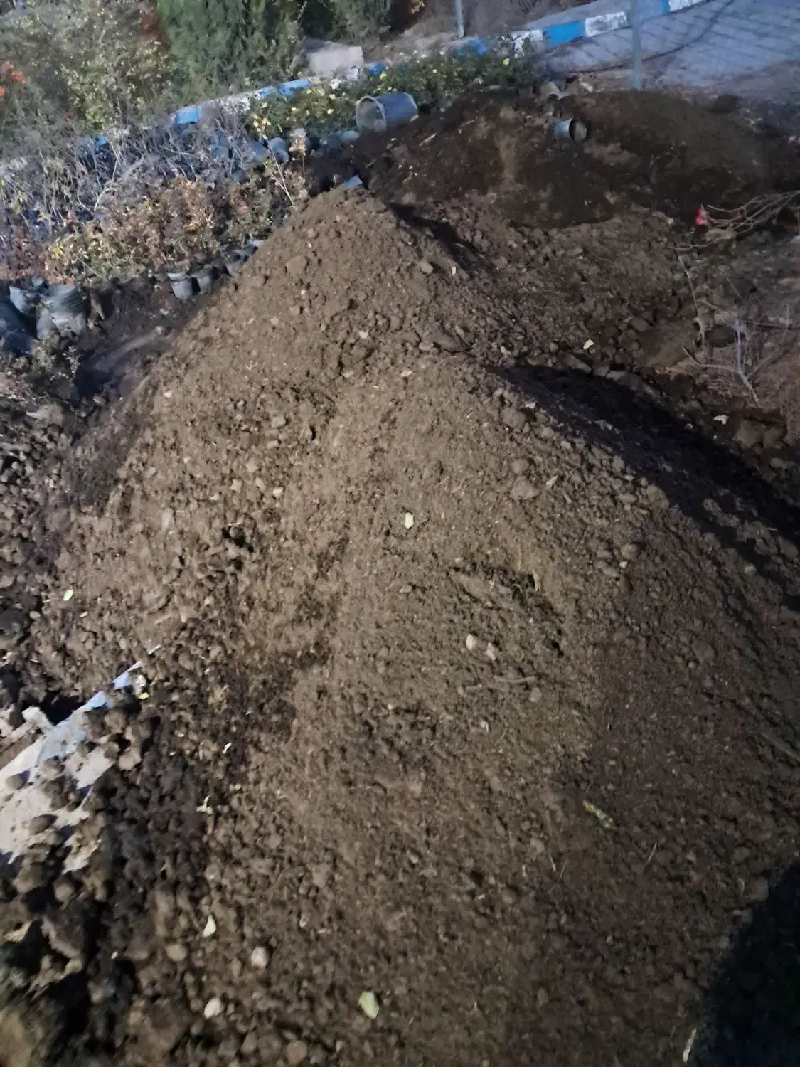 کود فرآوری  شده گاوی   و کود ورمی|گل و گیاه طبیعی|بجنورد, |دیوار