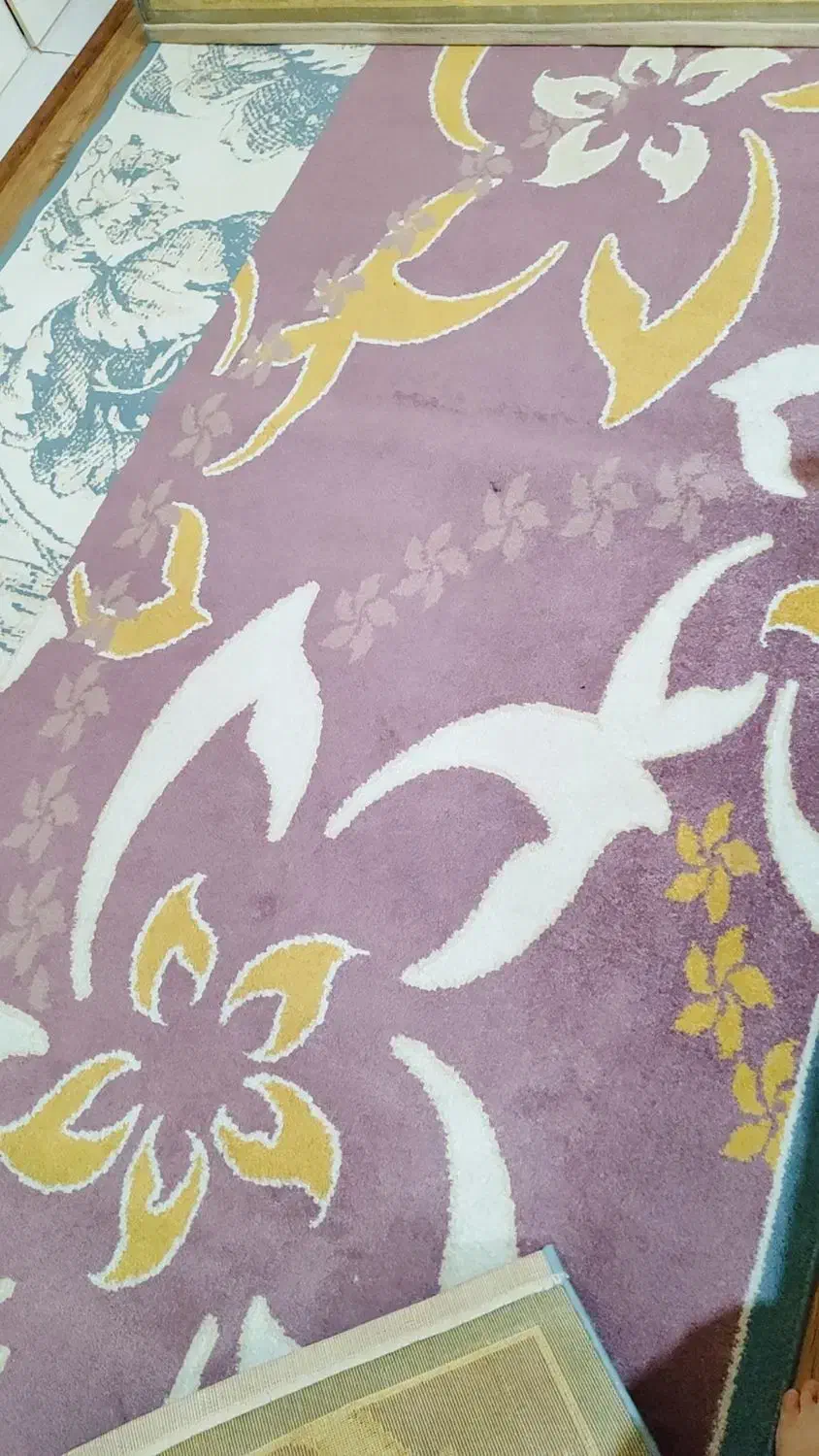 یک جفت گلیم فرش قدیمی پرز دار 6 متری|گلیم، جاجیم، گبه|اهواز, شریعتی جنوبی|دیوار