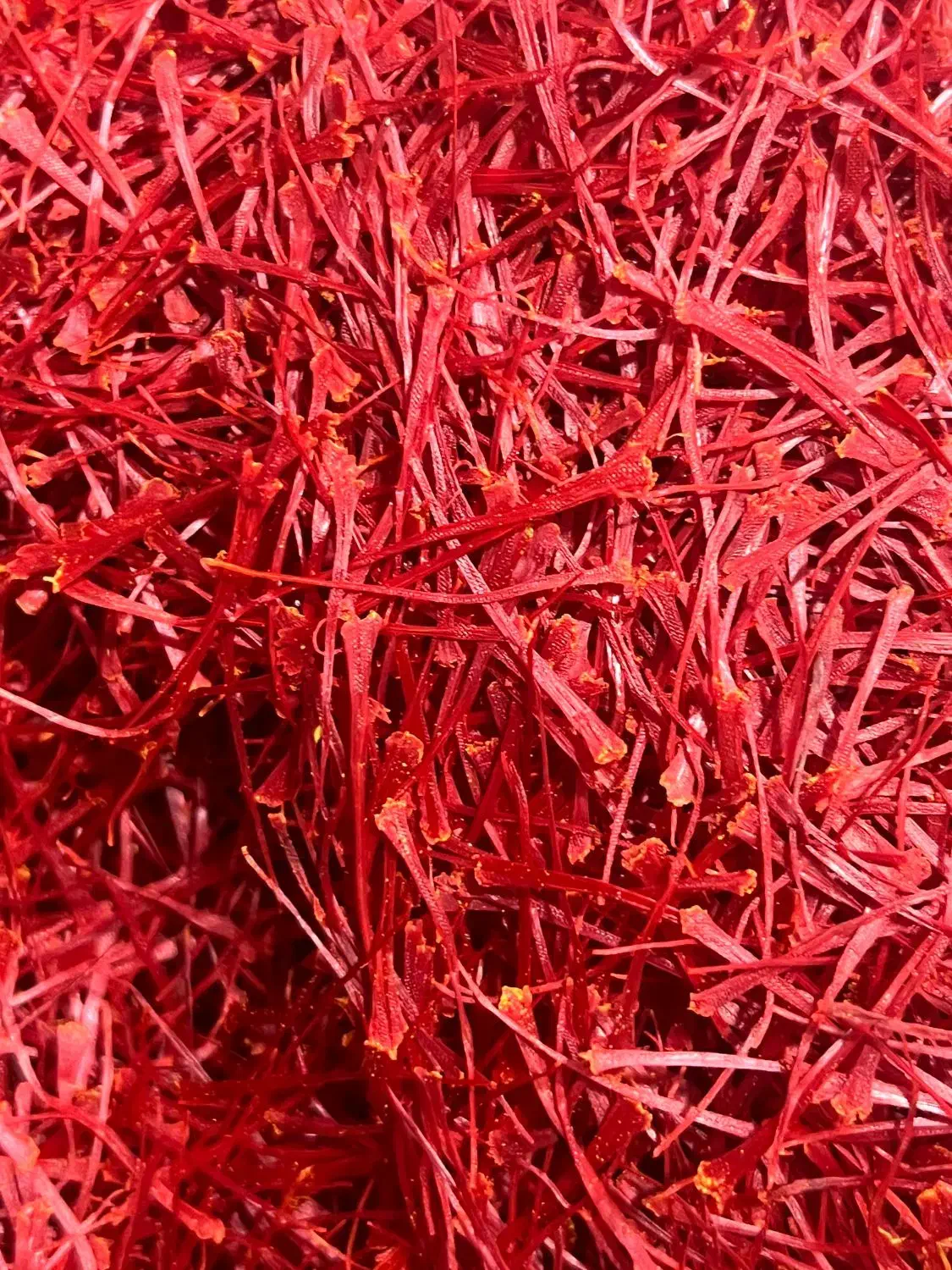 زعفران سوپر نگین|خوردنی و آشامیدنی|شیراز, آزادی|دیوار